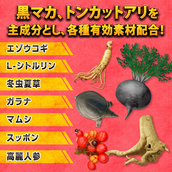 Wolf Club｜燃燒夜狼男士精力補充套裝｜30ml飲品＋4粒