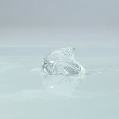 SSI Japan｜女用私密保護乳霜｜12g