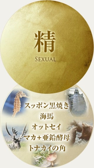 寶仙堂｜淒十Max Energy男性機能飲-50ml