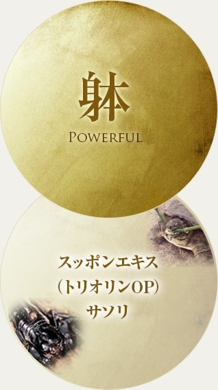 寶仙堂｜淒十Max Energy男性機能飲-50ml