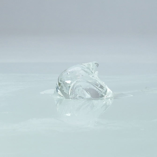 SSI Japan｜女用敏感提升乳霜｜黑薑配方｜12g