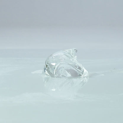 SSI Japan｜女用敏感提升乳霜｜黑薑配方｜12g