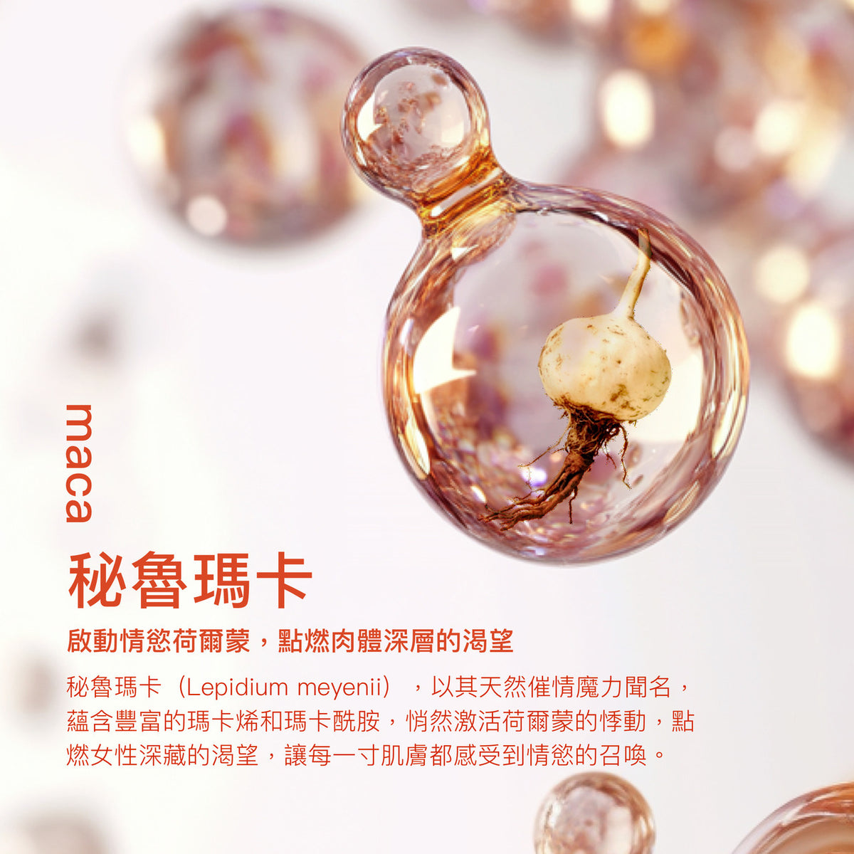 Play & Joy 絲滑基本型（保險套適用）水性潤滑液 - 50ml