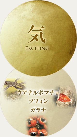 寶仙堂｜淒十Max Energy男性機能飲-50ml